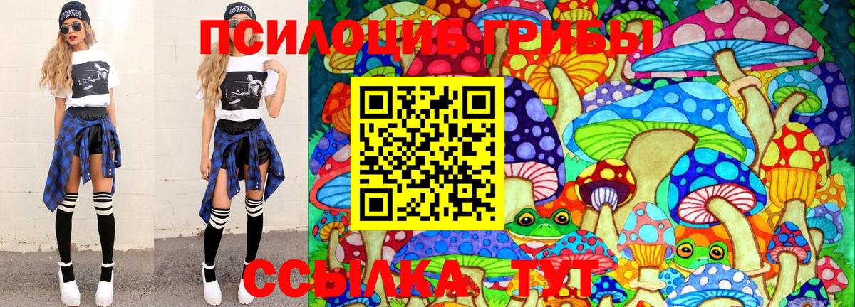 Гулькевичи  Галлюциногенные грибы Psilocybe  Вход с VPN 