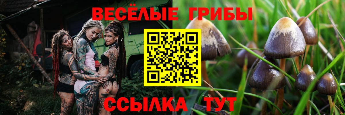Мефедрон кристаллы  ЭКСТАЗИ  APVP СОЛЬ кристаллы  Вход с VPN  MDMA  Конопля  Гулькевичи  Гашиш  Лсд 25 